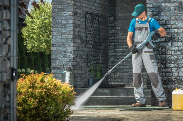 Best Solar Panel Cleaning  in Hybla Lley, VA